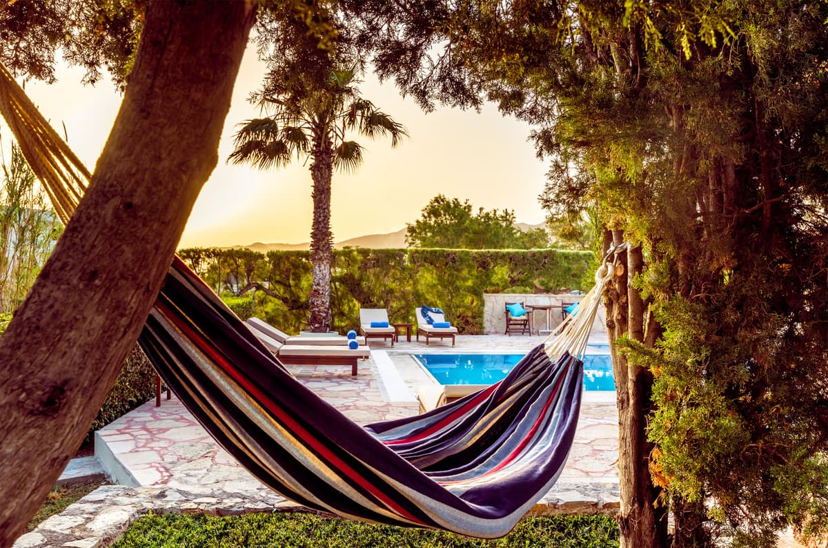 Nectar Guest Experience